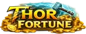 thorfortune logo
